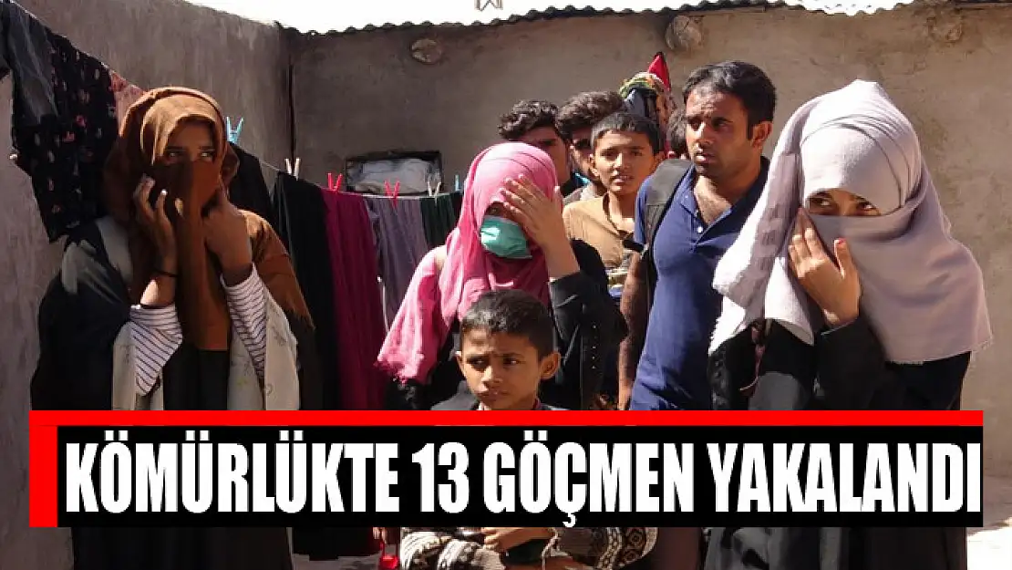 Kömürlükte 13 göçmen yakalandı