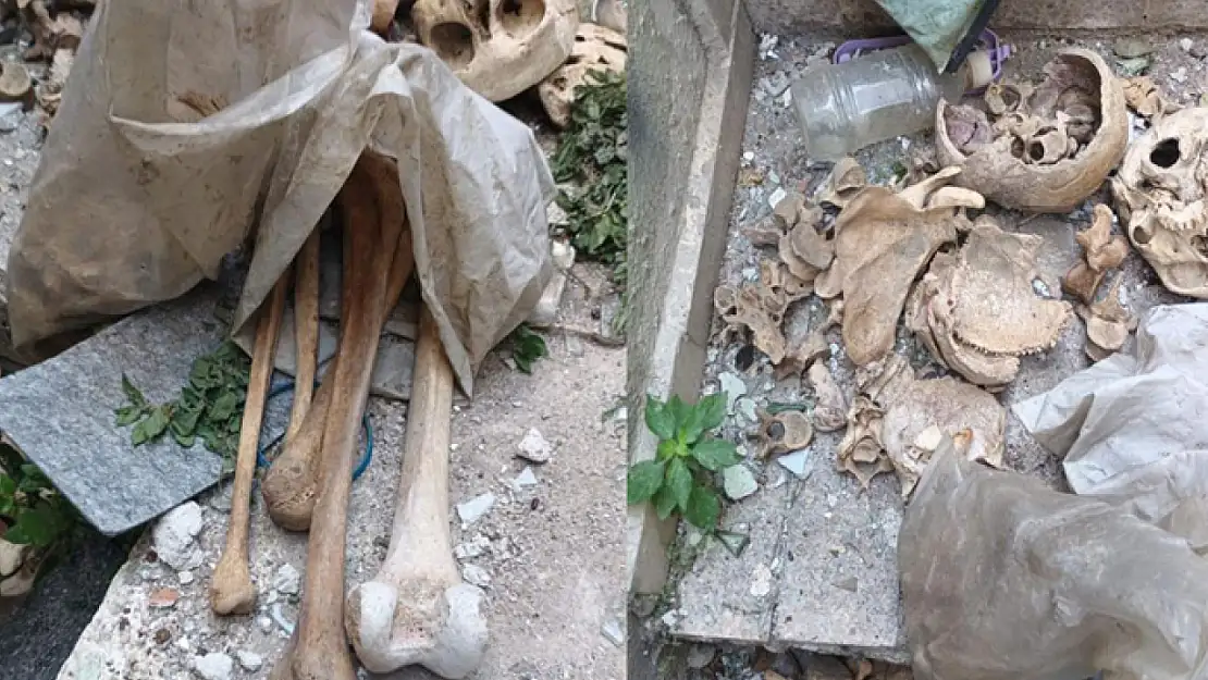 Kömürlükte poşet içinde 3 kişiye ait iskelet bulundu
