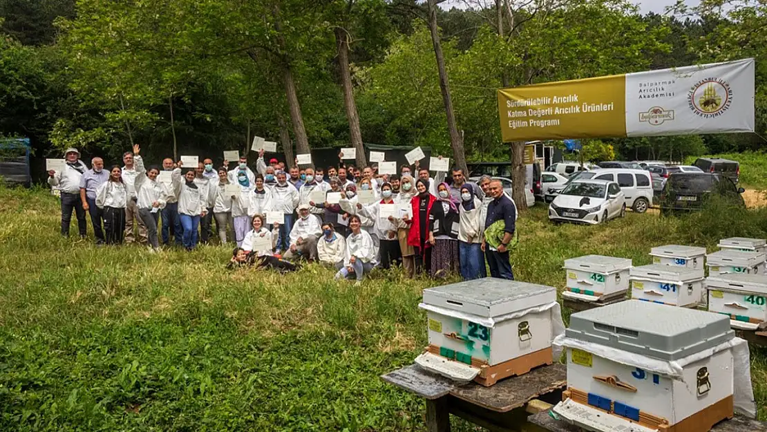 Kontrolsüz ilaçlama arılara ve arı ürünlerine zarar veriyor