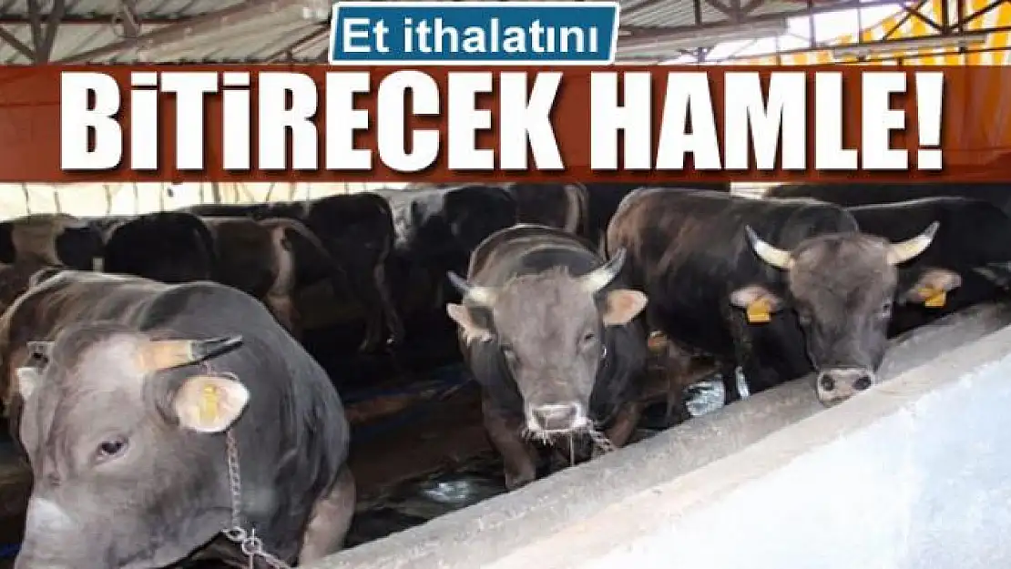 Et ithalatını bitirecek hamle!