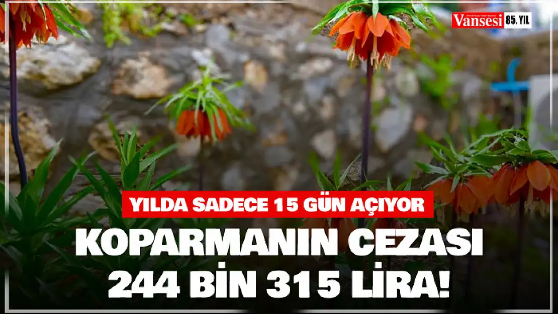 Koparmanın cezası 244 bin 315 lira