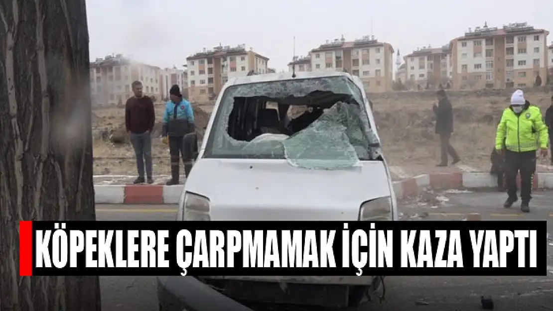 Köpeklere çarpmamak için kaza yaptı