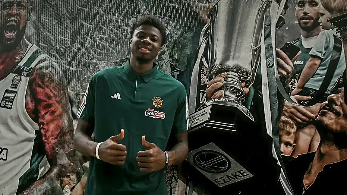 Kostas Antetokounmpo, Panathinaikos'ta