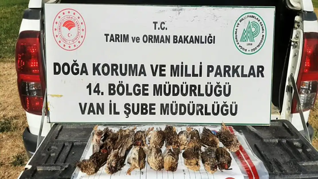 Kota aşımı yapan 3 avcıya ceza