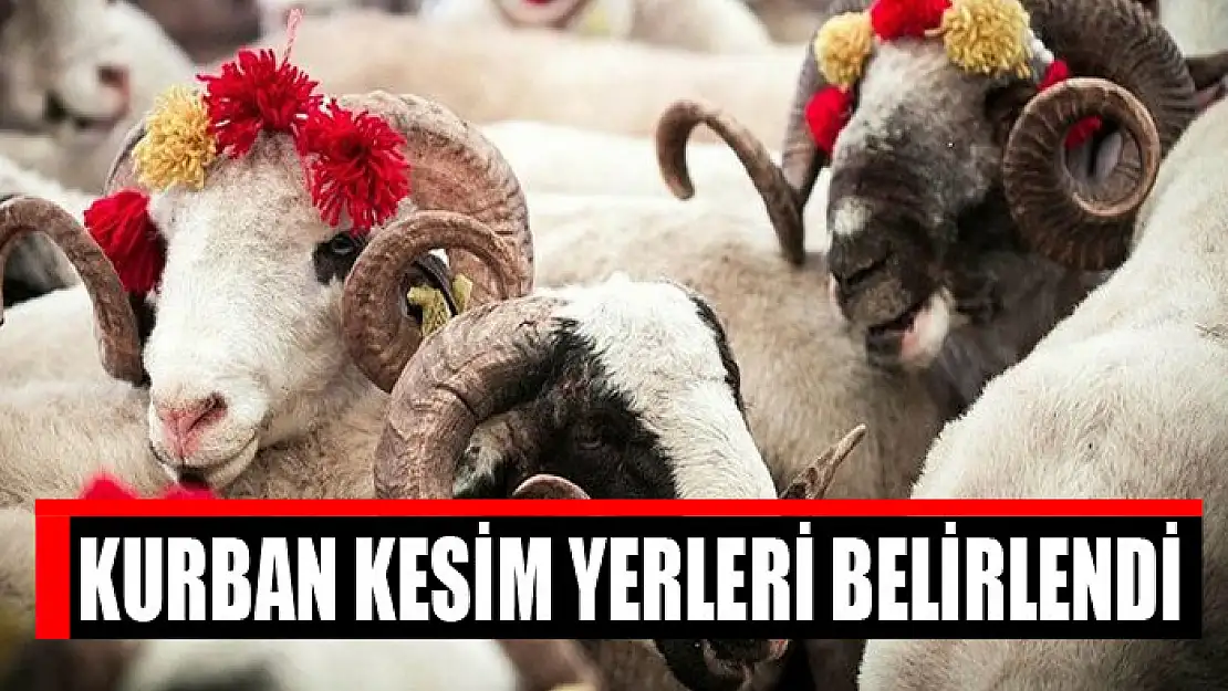 Kurban kesim yerleri belirlendi