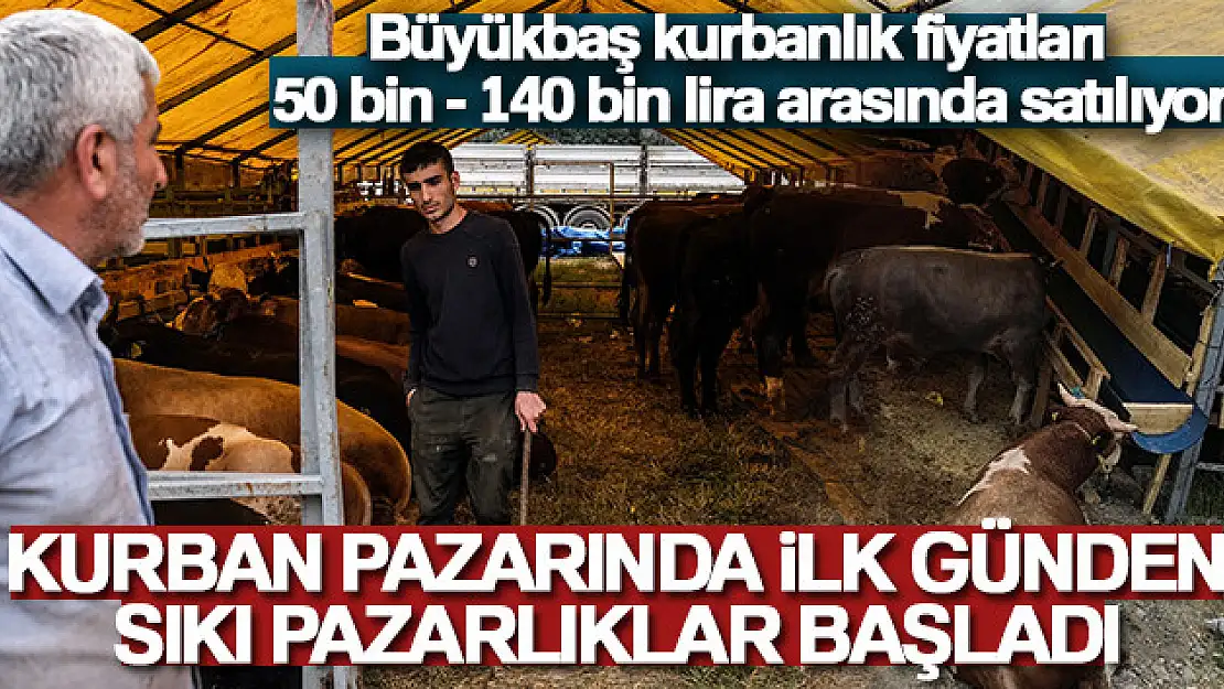 Kurban pazarında ilk günden sıkı pazarlıklar başladı