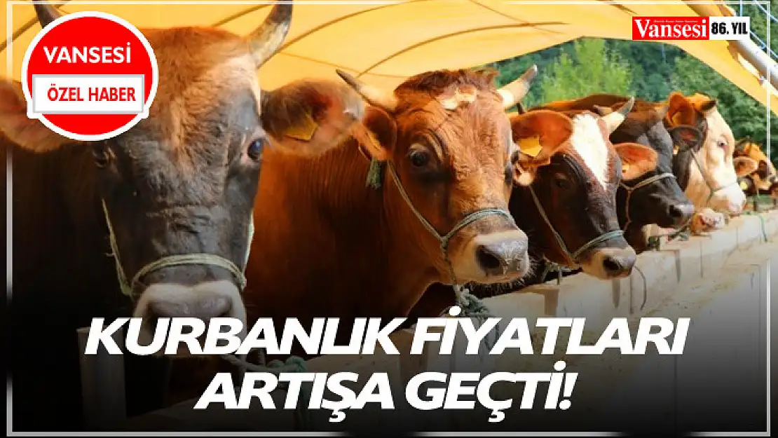 Kurbanlık fiyatları artışa geçti