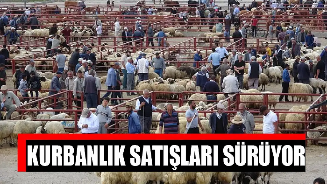 Kurbanlık satışları sürüyor