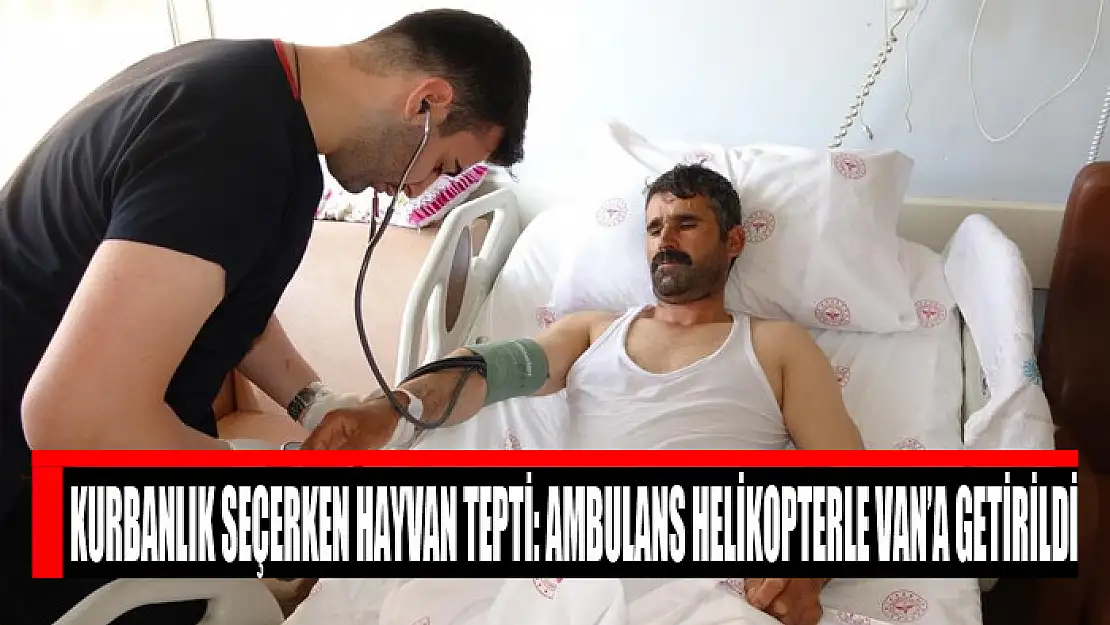 Kurbanlık seçerken hayvan tepti: Ambulans helikopterle Van'a getirildi