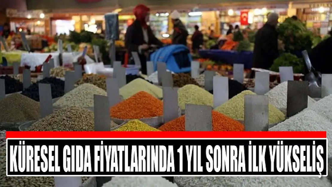 Küresel gıda fiyatlarında 1 yıl sonra ilk yükseliş