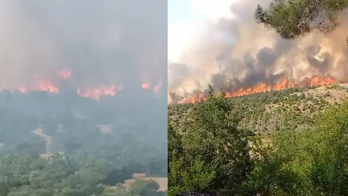 Kütahya'daki orman yangınına müdahale 3 saattir sürüyor