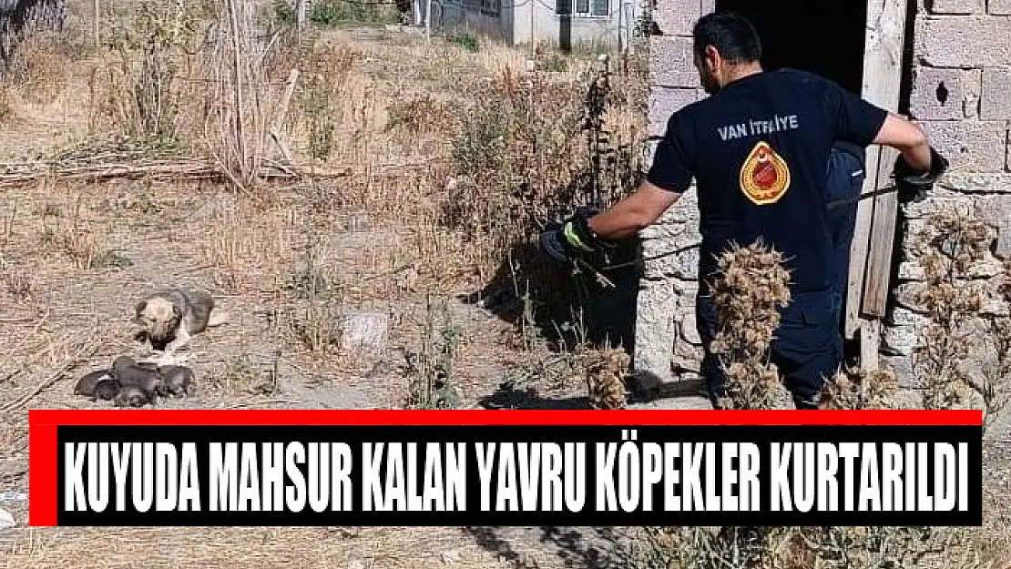 Mahsur kalan yavru köpekler kurtarıldı