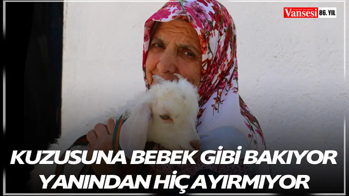 Kuzusuna bebek gibi bakıyor, yanından hiç ayırmıyor