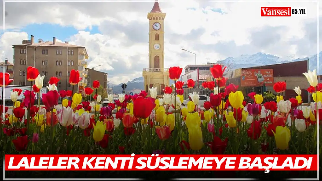 Laleler kenti süslemeye başladı