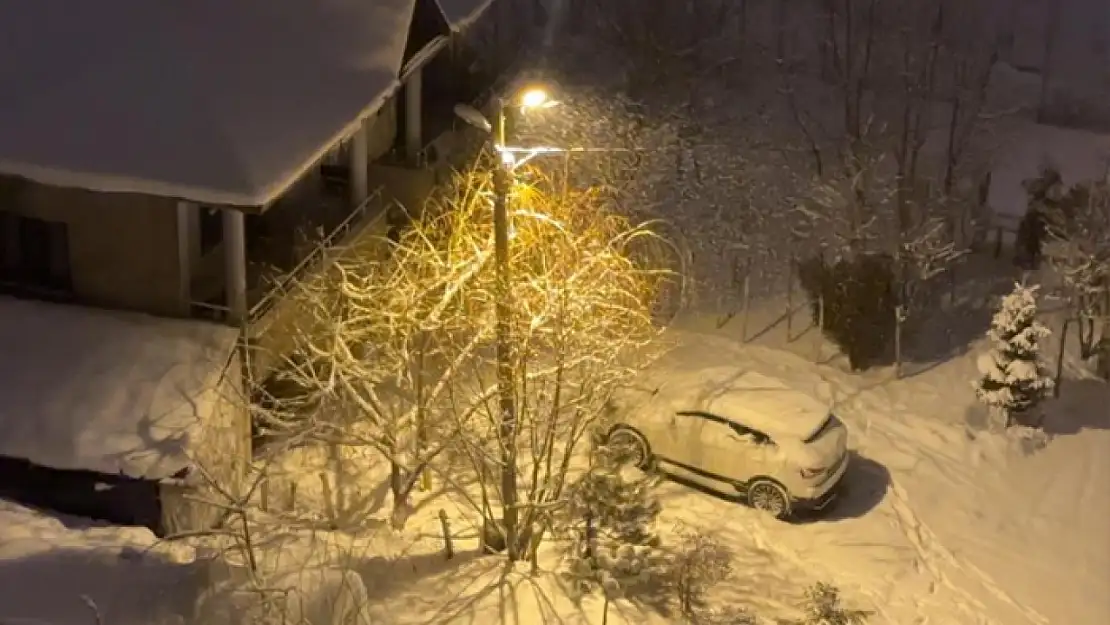 Lapa lapa kar yağışı hayatı olumsuz etkiledi