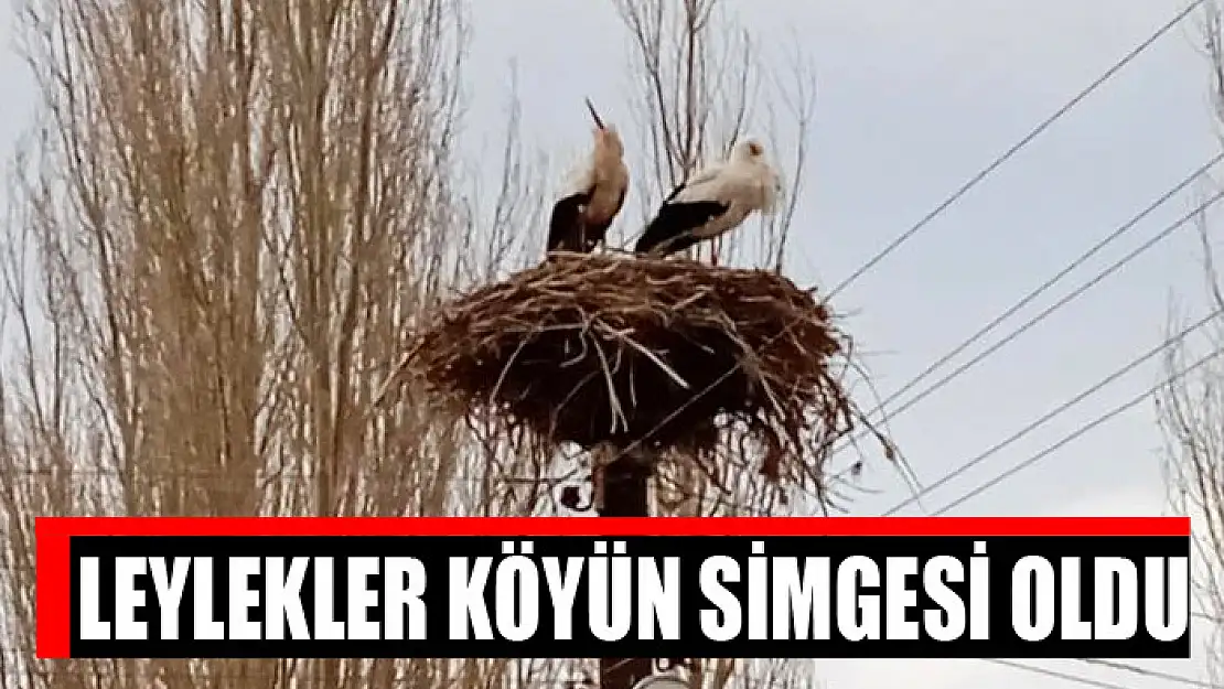 Leylekler köyün simgesi oldu