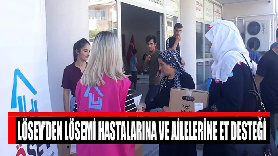 LÖSEV'den Vanlı lösemi hastalarına ve ailelerine et desteği