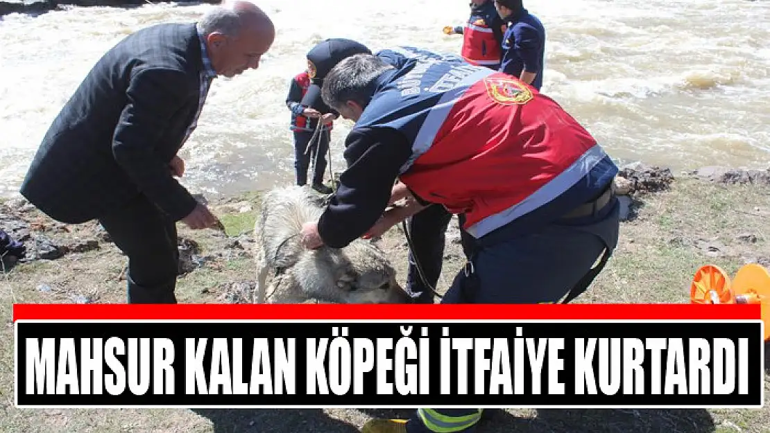 MAHSUR KALAN KÖPEĞİ İTFAİYE KURTARDI