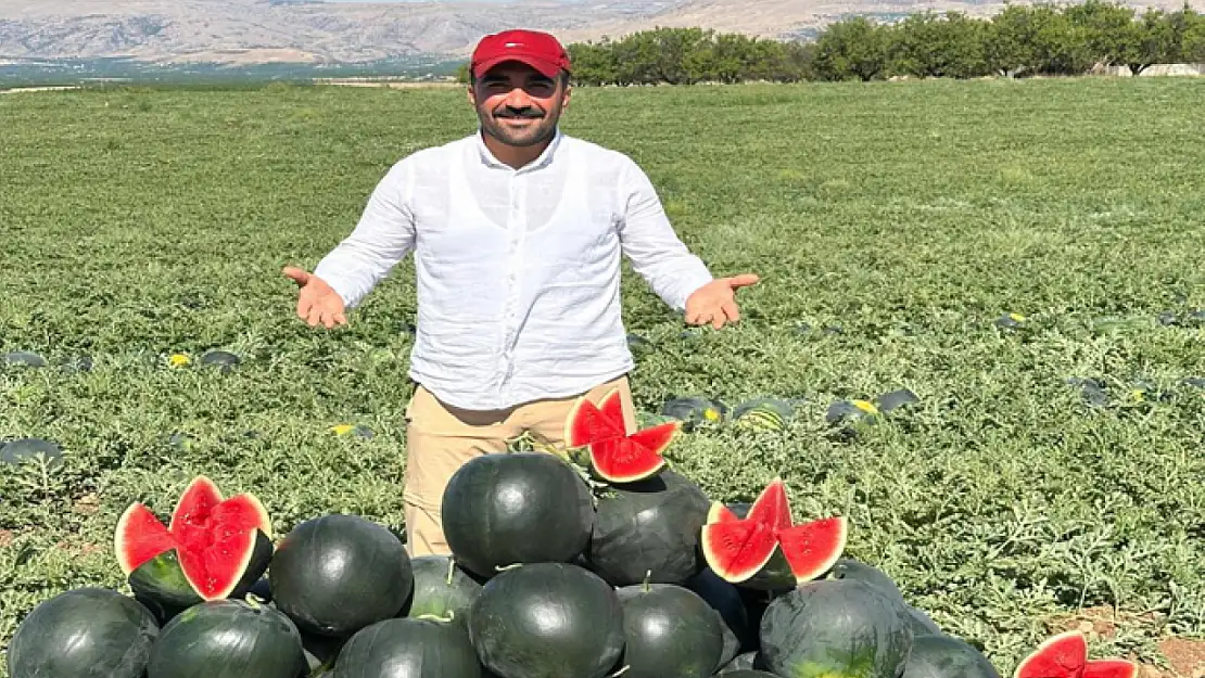 Malatya'da karpuz ve kavun hasadı yüz güldürüyor