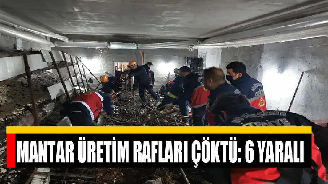 Mantar üretim rafları çöktü: 6 yaralı