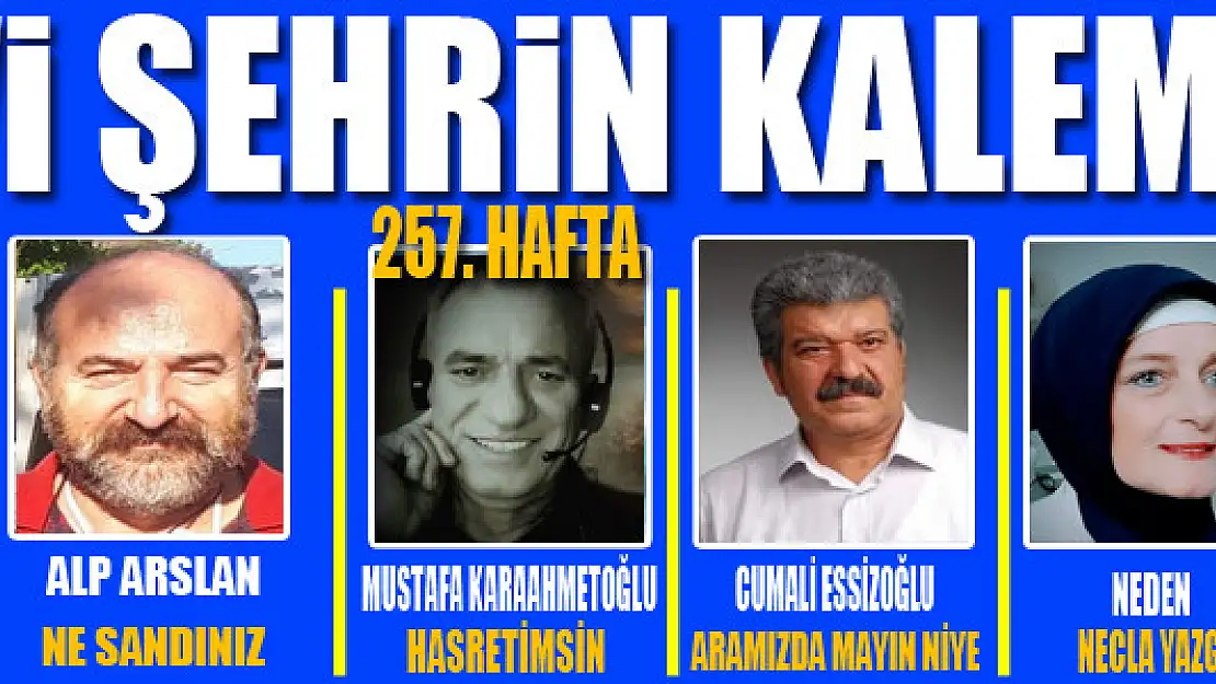 Mavi Şehrin Kalemleri