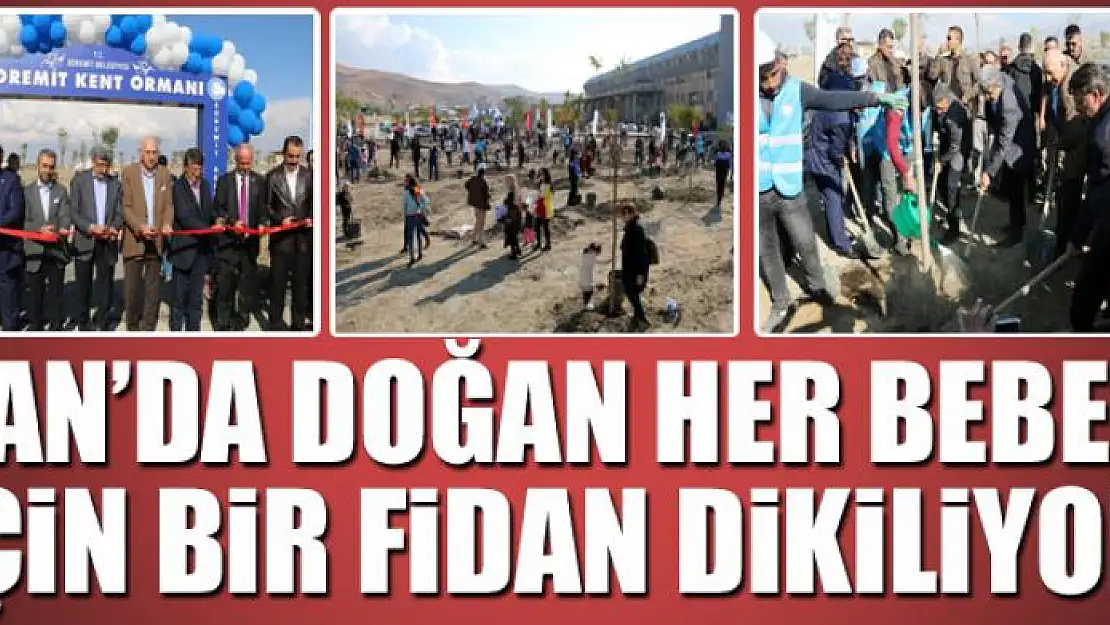 Van'da doğan her bebek için bir fidan dikiliyor