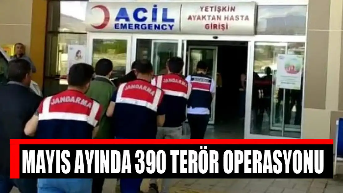 Mayıs ayında 390 terör operasyonu