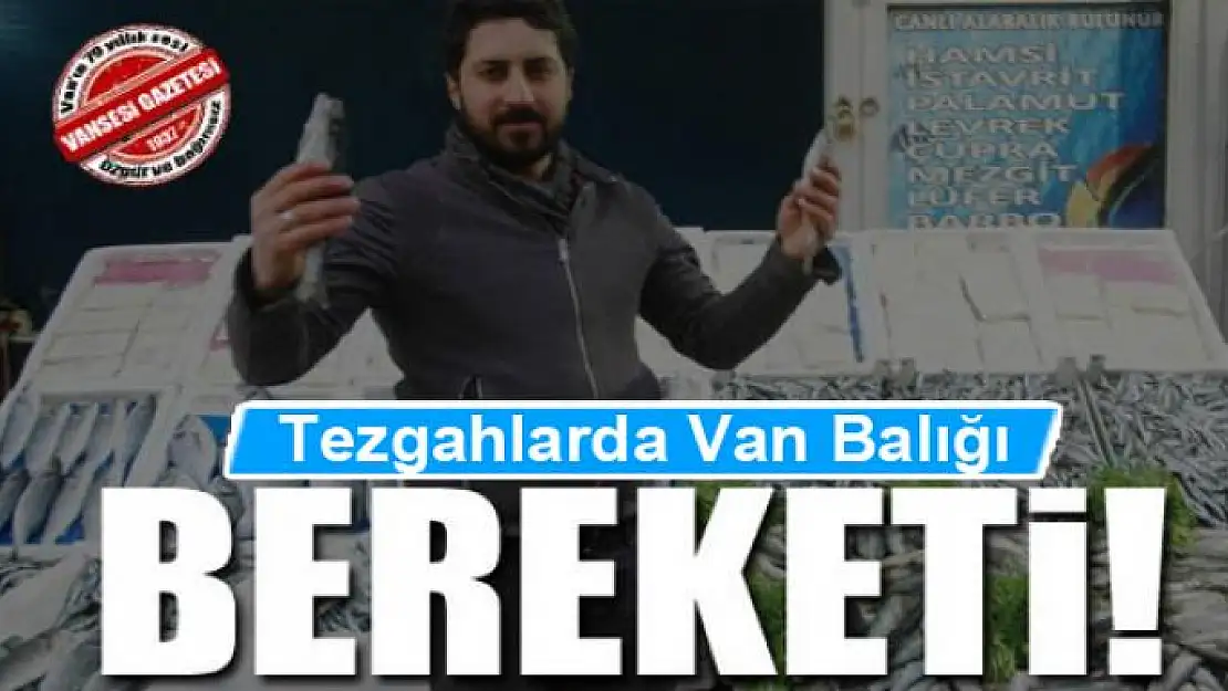 Tezgâhlarda 'Van Balığı' bereketi 