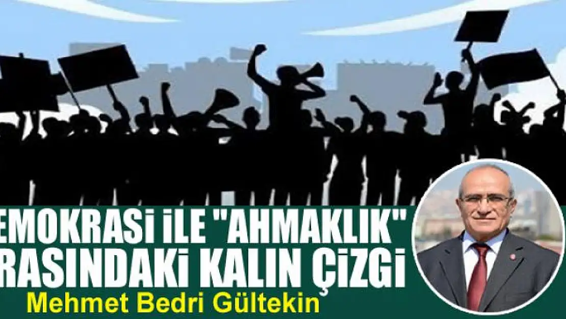 Demokrasi ile 'ahmaklık' arasındaki kalın çizgi