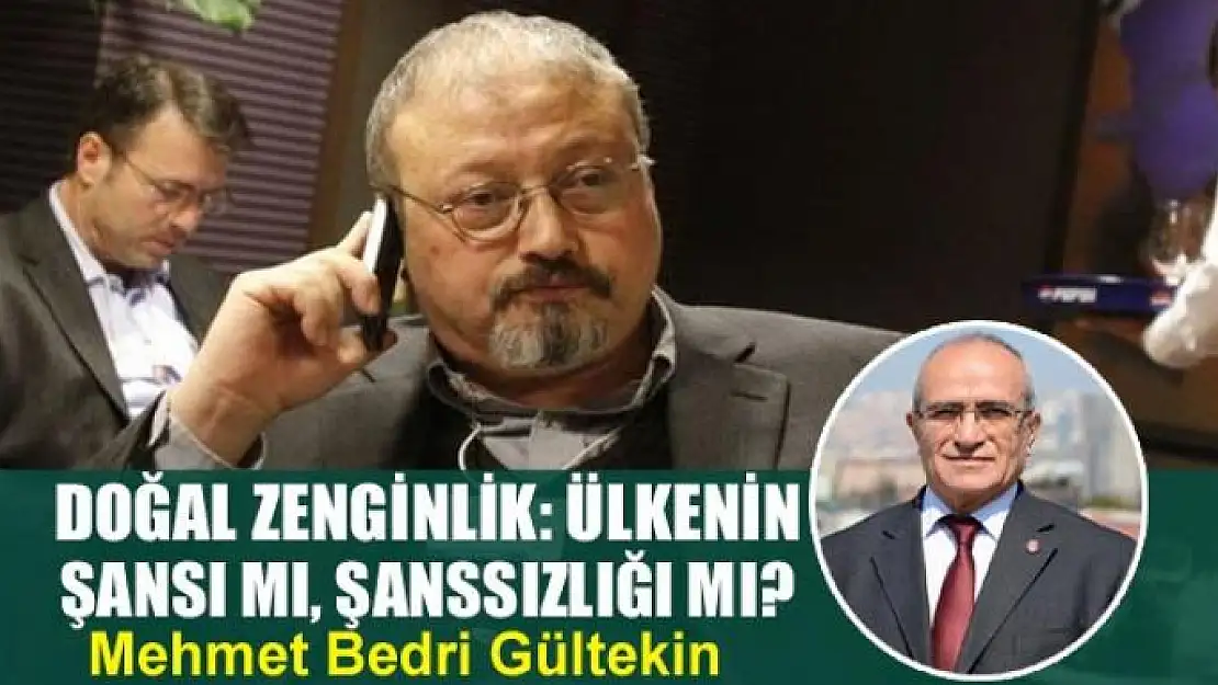 Doğal zenginlik: Ülkenin şansı mı, şanssızlığı mı?