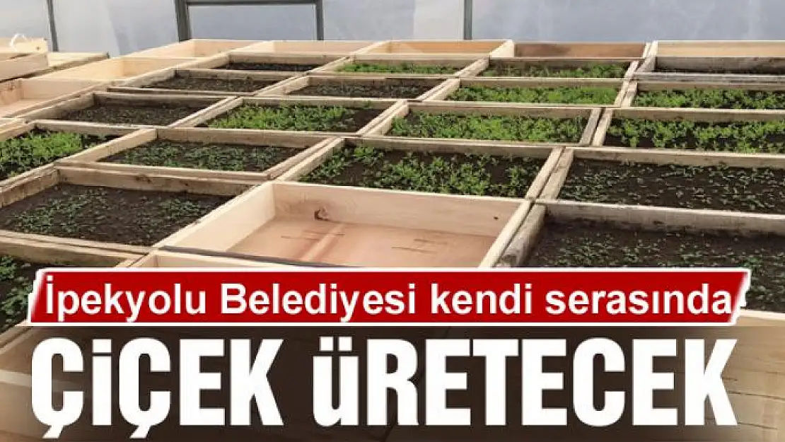 İpekyolu Belediyesi kendi serasında çiçek üretecek