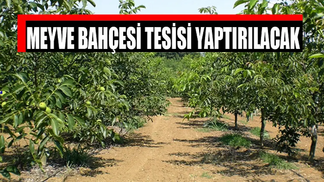 Meyve bahçesi tesisi yaptırılacak