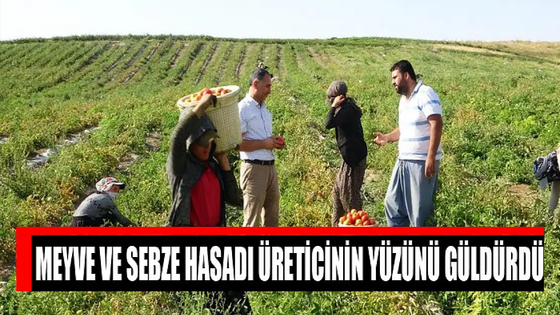 Meyve ve sebze hasadı üreticinin yüzünü güldürdü