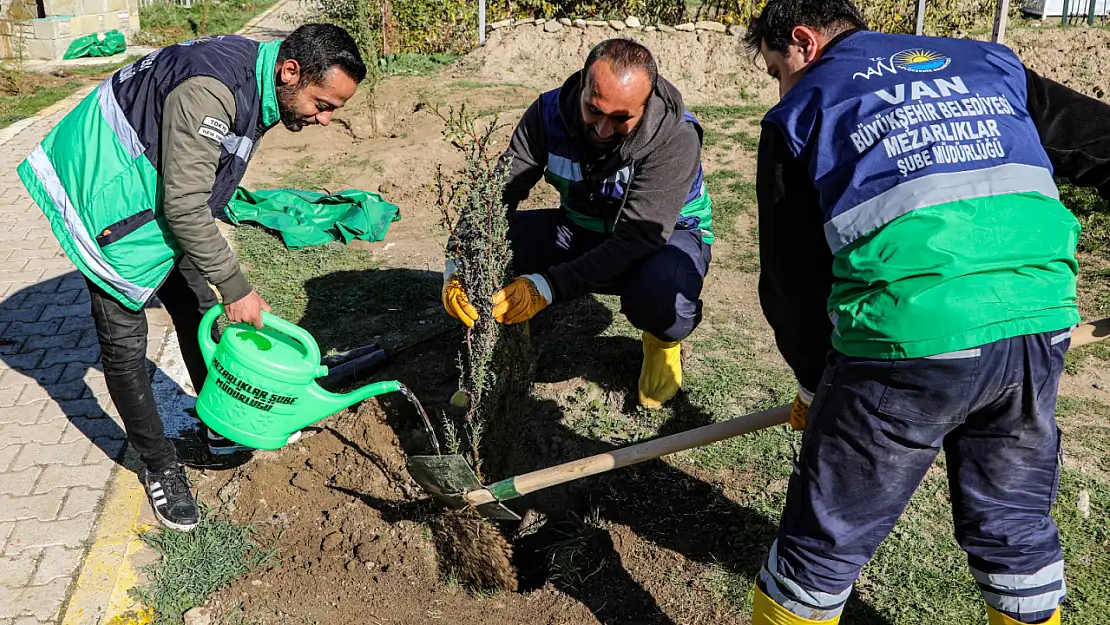 Van'da mezarlık alanlar ağaçlandırılıyor