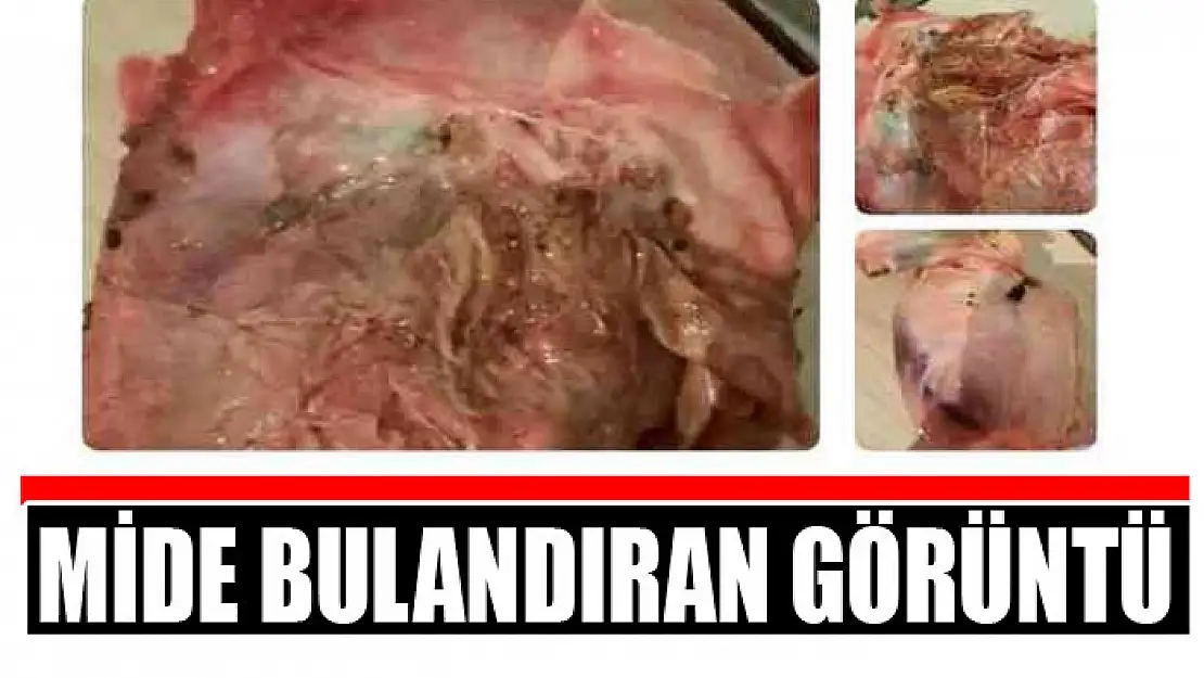 Mide bulandıran görüntü