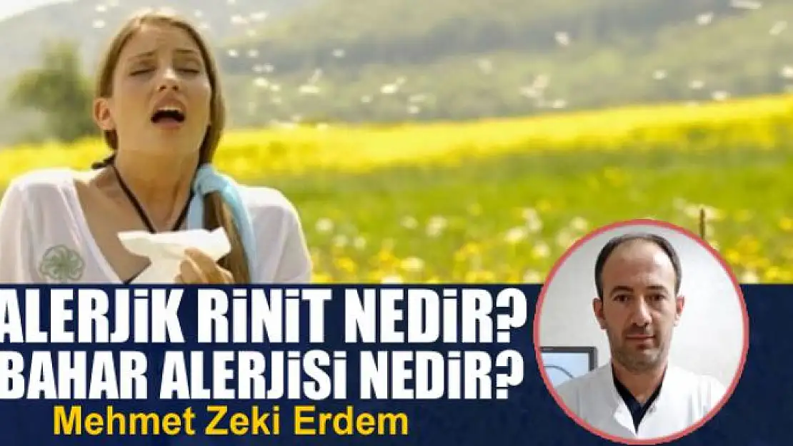 Alerjik Rinit Nedir? Bahar Alerjisi Nedir?