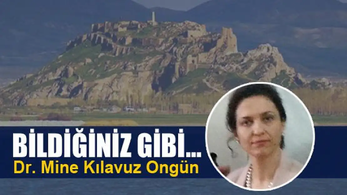 Bildiğiniz gibi…