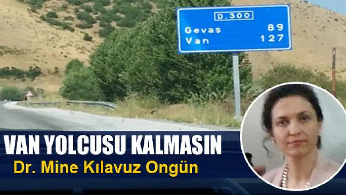 Van yolcusu kalmasın