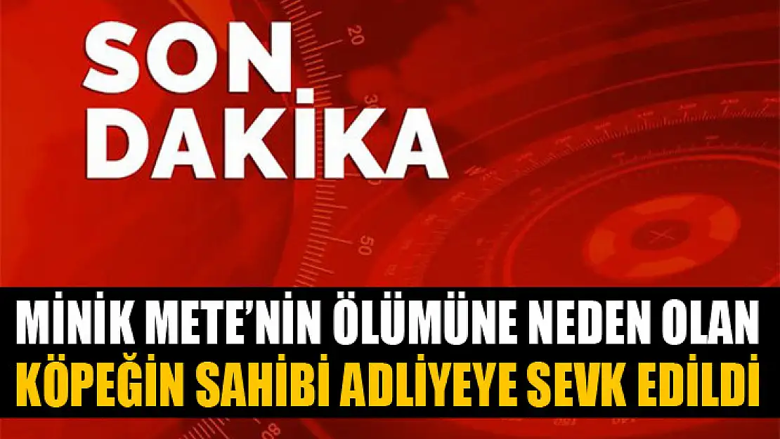 Minik Mete'nin ölümüne neden olan köpeğin sahibi adliyeye sevk edildi