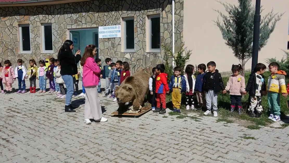 Minik öğrenciler yaban ve tahnit hayvanlarla buluştu