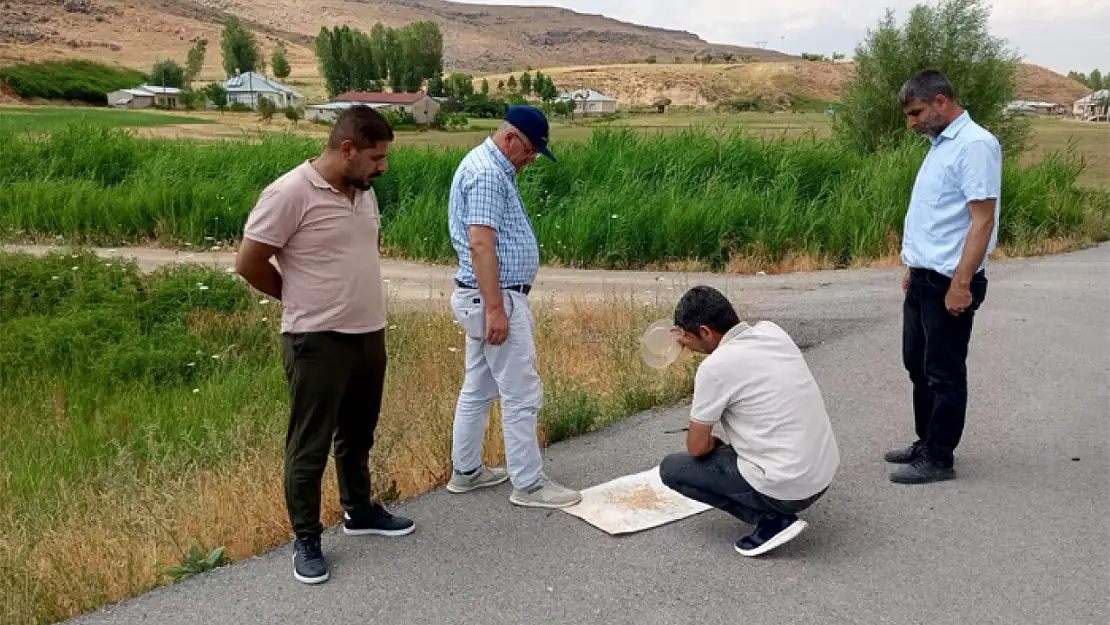 Muradiye'de 2025 yılı tarım verimi değerlendirildi