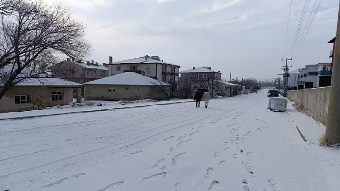 Muradiye'de kar yağışı