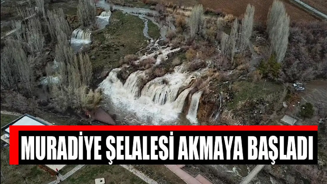 Muradiye Şelalesi akmaya başladı