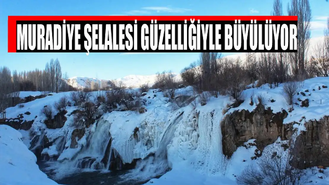 Muradiye Şelalesi güzelliğiyle büyülüyor