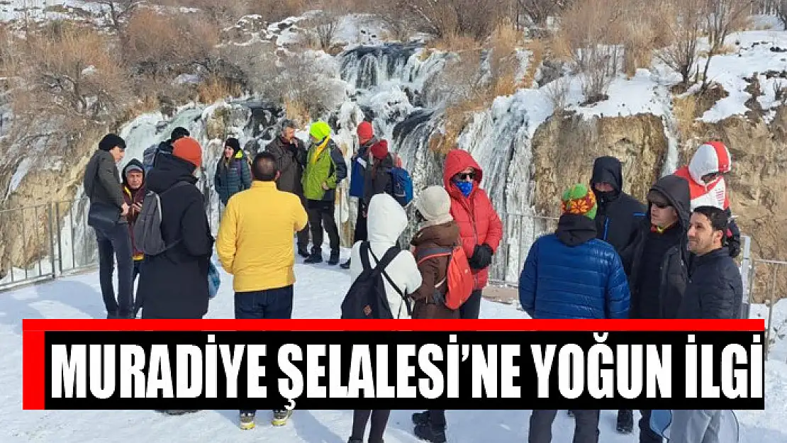 Muradiye Şelalesi'ne yoğun ilgi