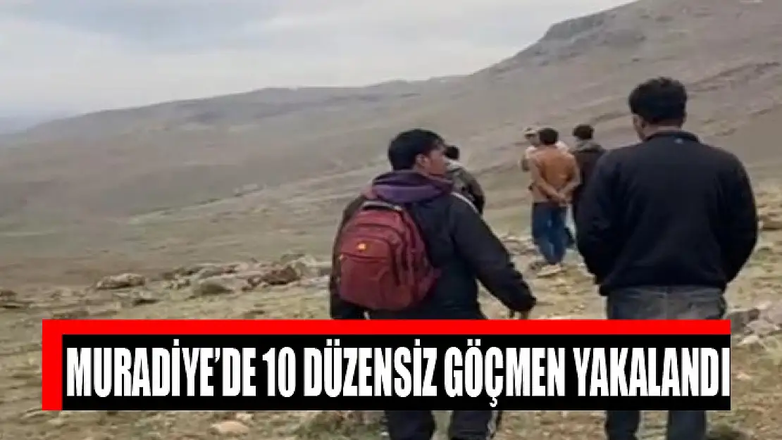 Muradiye'de 10 düzensiz göçmen yakalandı