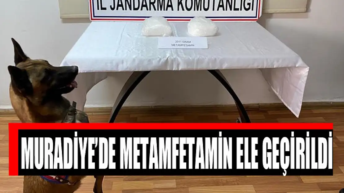 Muradiye'de 2 kilo metamfetamin ele geçirildi