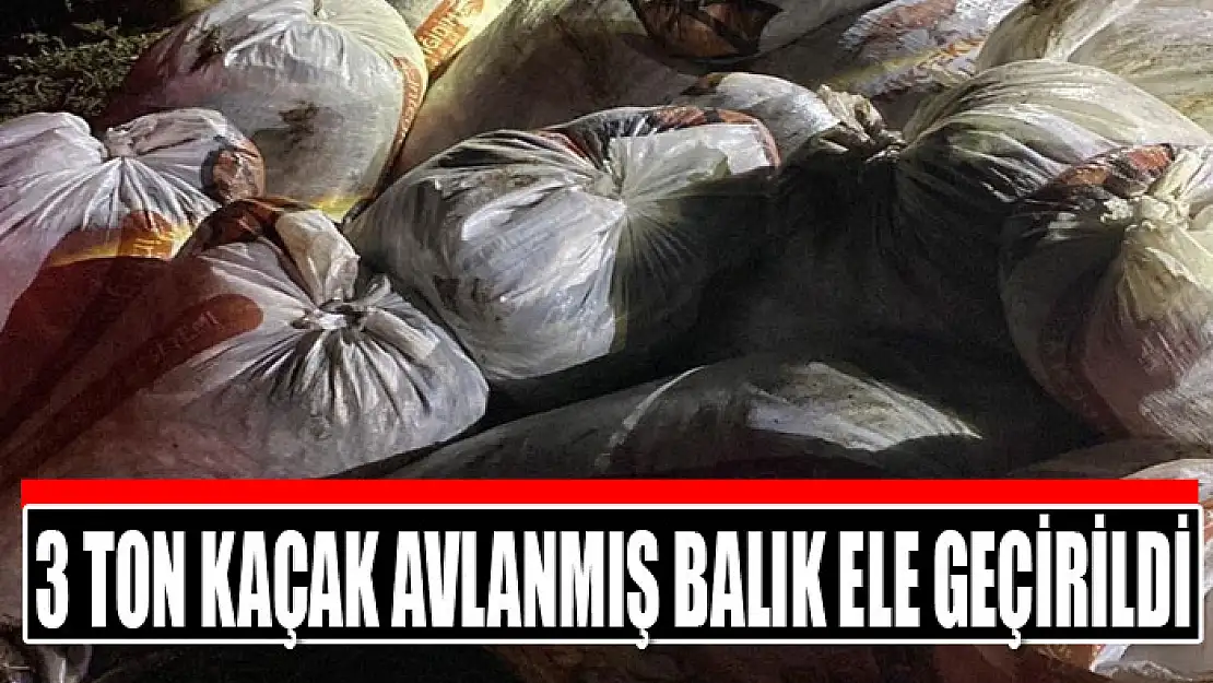 Muradiye'de 3 ton kaçak avlanmış balık ele geçirildi