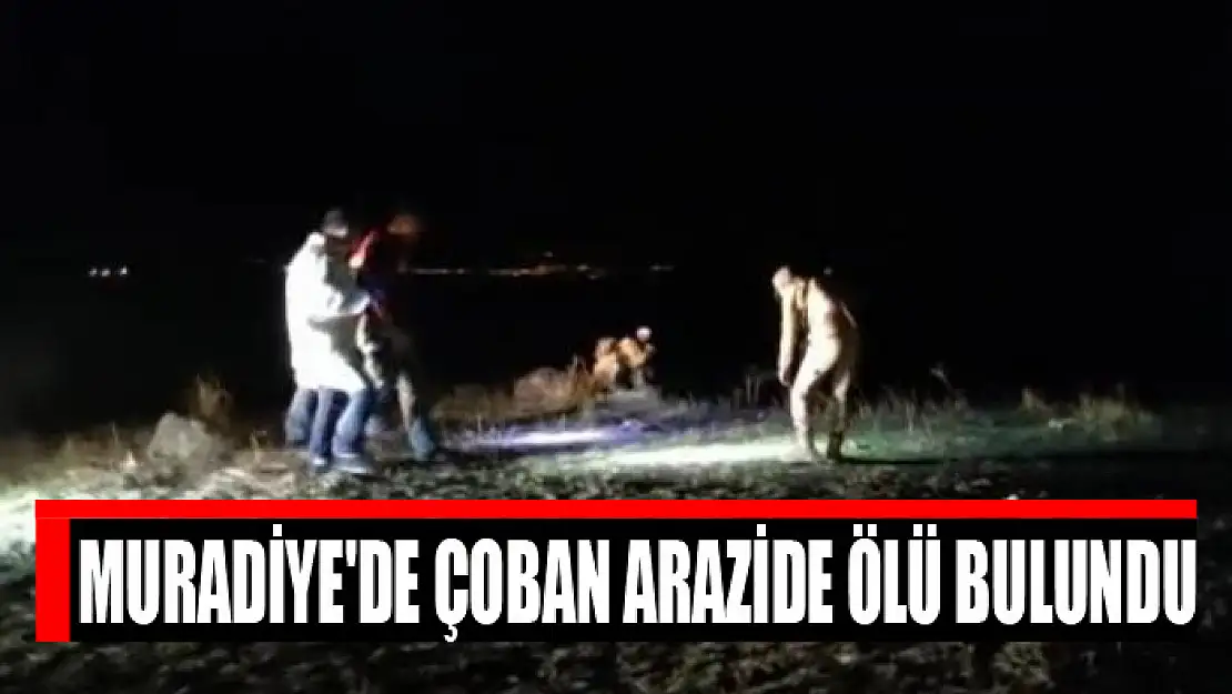 Muradiye'de çoban arazide ölü bulundu