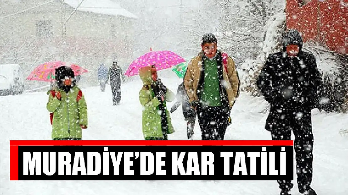 Muradiye'de kar tatili